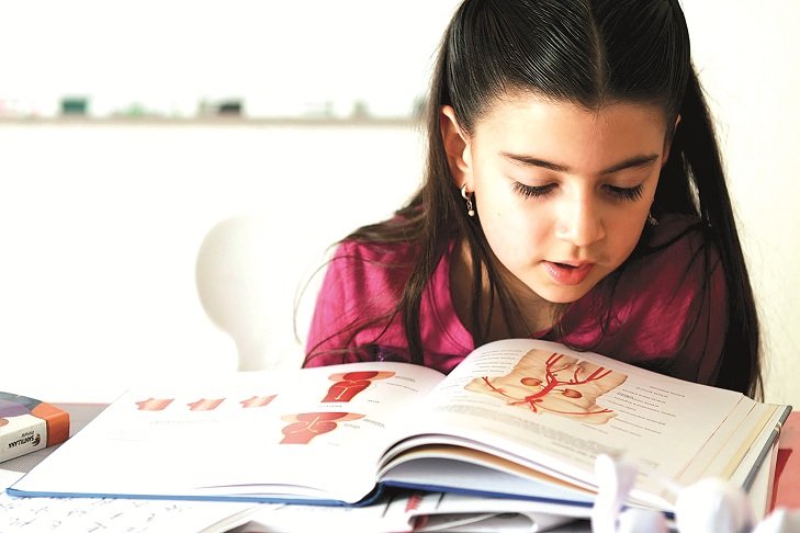 Eduquemos el intelecto de nuestros hijos