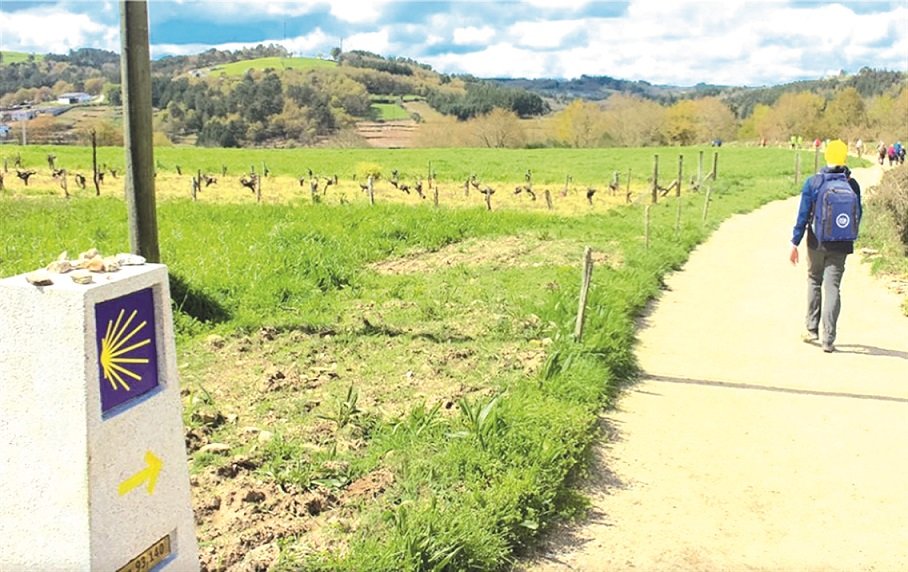 Camino de Santiago: Tradición, quimera y realidad