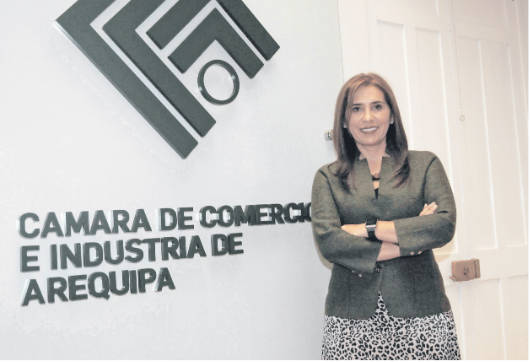 Cámara de Comercio: “Tía María  y Majes II deben ser destrabados”
