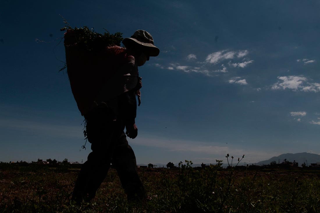 El efecto silencioso de la cuarentena en el campo