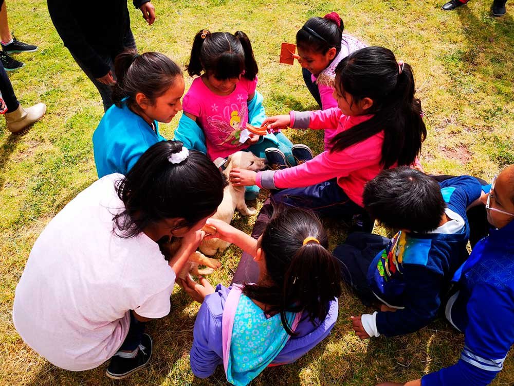 Albergues infantiles temen contagio de COVID-19 y piden pruebas de descarte para cuidadores