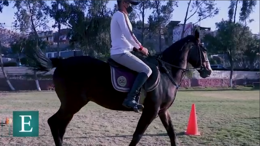 Arequipa, el escuadrón de caballería de la PNP