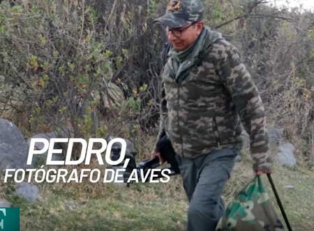 Pedro, el fotógrafo de aves