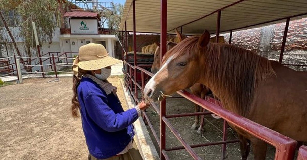 Sanando con ayuda de la naturaleza