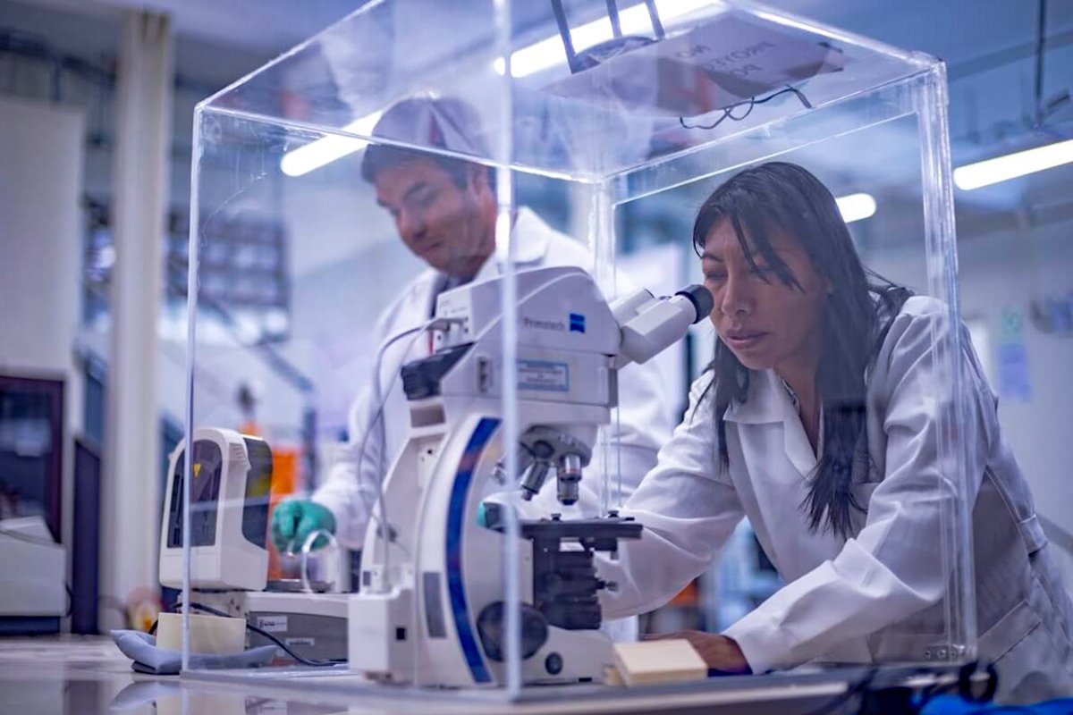 San Pablo, la universidad con más proyectos ganados en el sur, en convocatorias de Prociencia