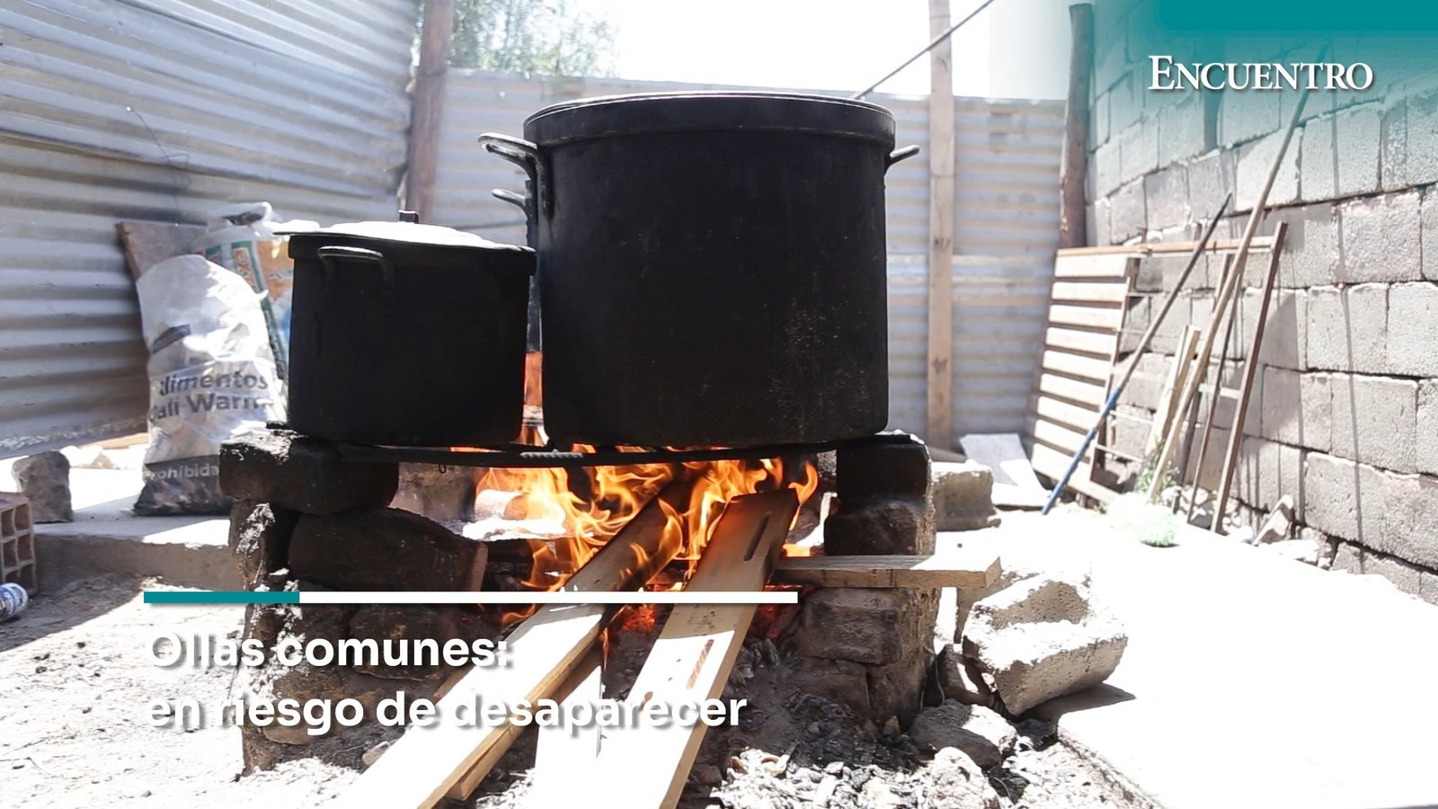 Ollas comunes en riesgo de desaparecer