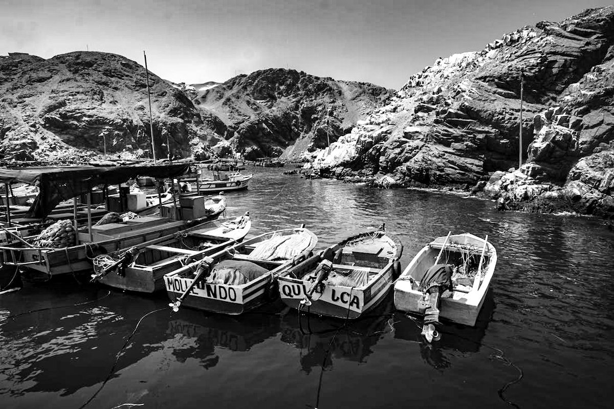 Bolívar y su política comercial para Arequipa