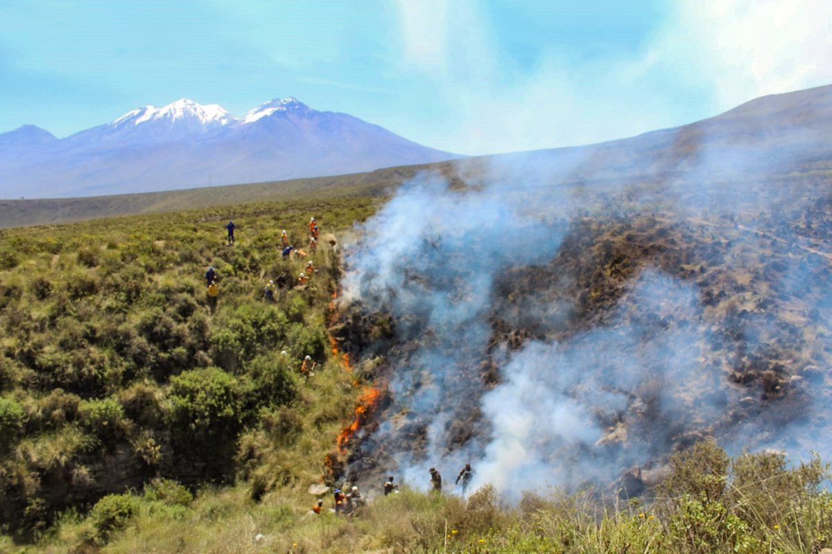 Arequipa: Más de 300 incendios forestales ocurrieron entre 2000 y 2023
