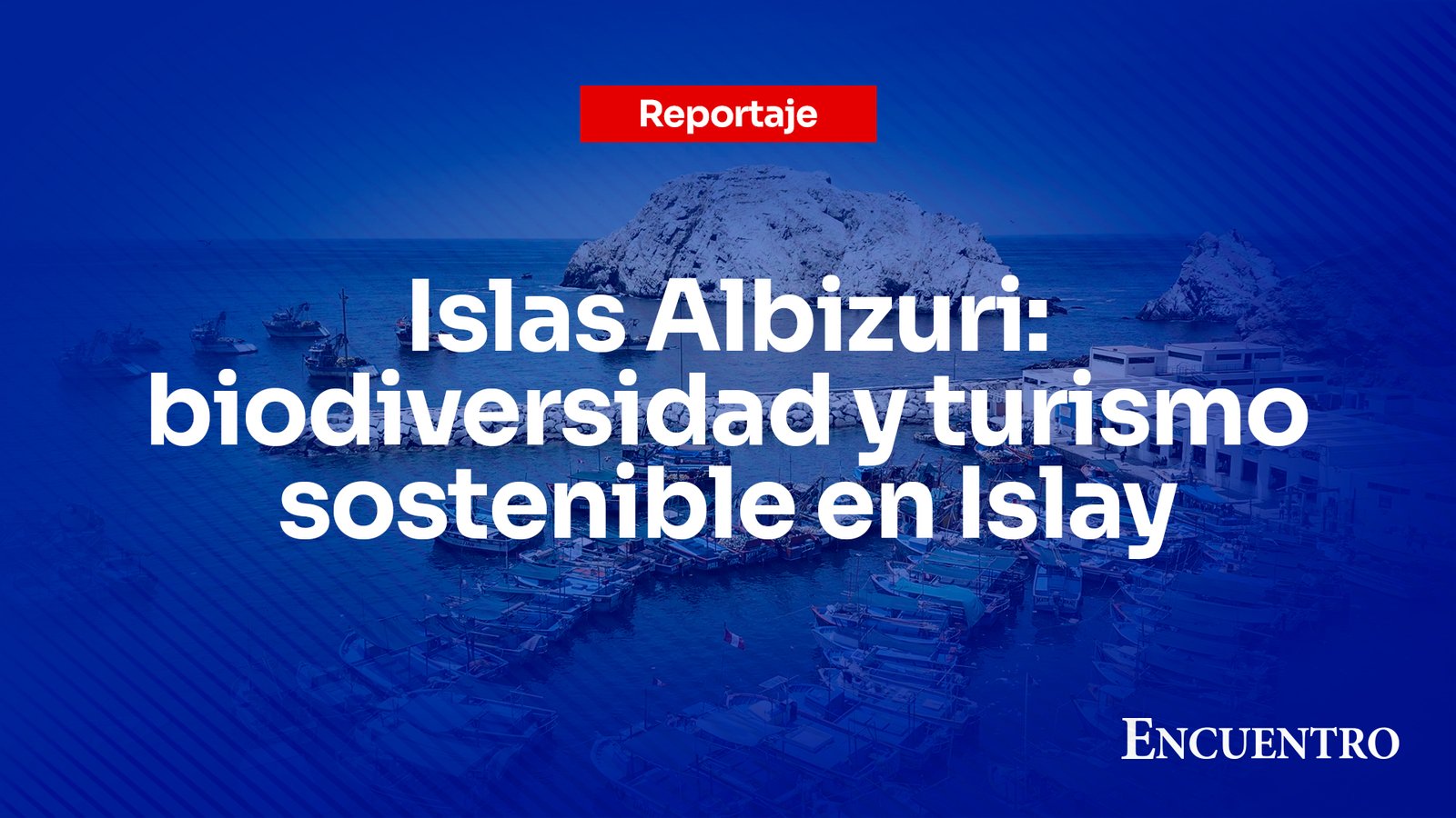 Islas Albizuri: biodiversidad y turismo sostenible en Islay