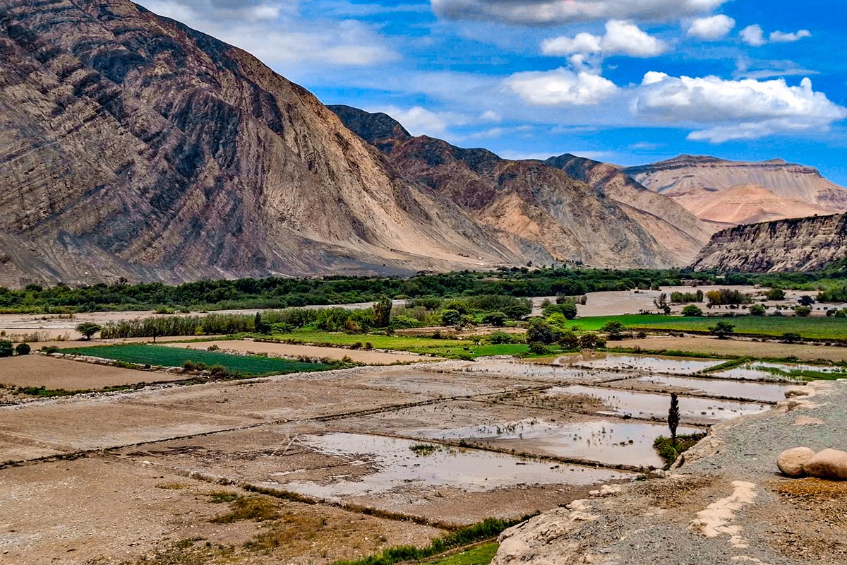 Perjuicio económico por las lluvias en Arequipa es mayor en el sector agricultura