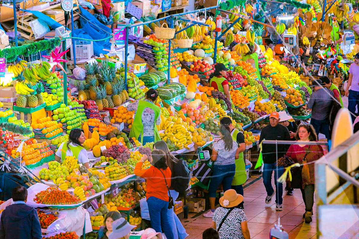 San Camilo a todo color