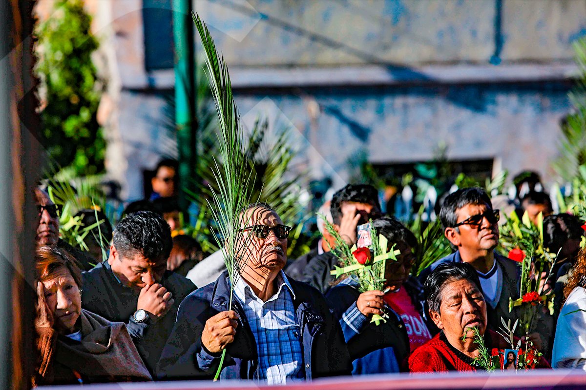 Renovación de la fe en Domingo de Ramos