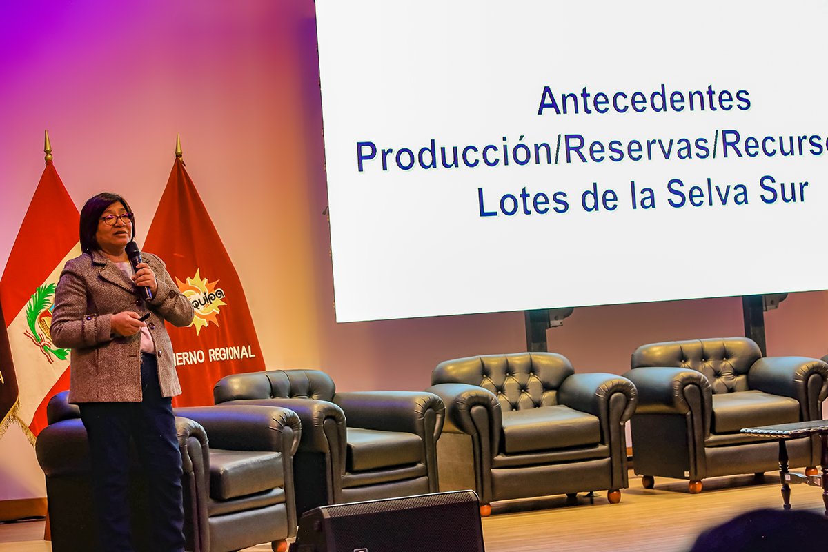 Masificación del gas en el sur: solo un proyecto iniciará operaciones en 2025